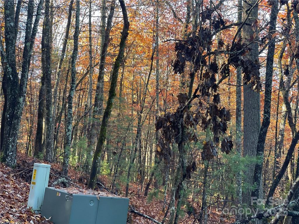 9999 Sassafras Road #4 - Photo 24