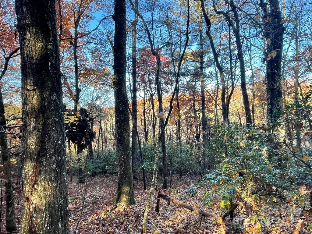 9999 Sassafras Road #4 - Photo 25