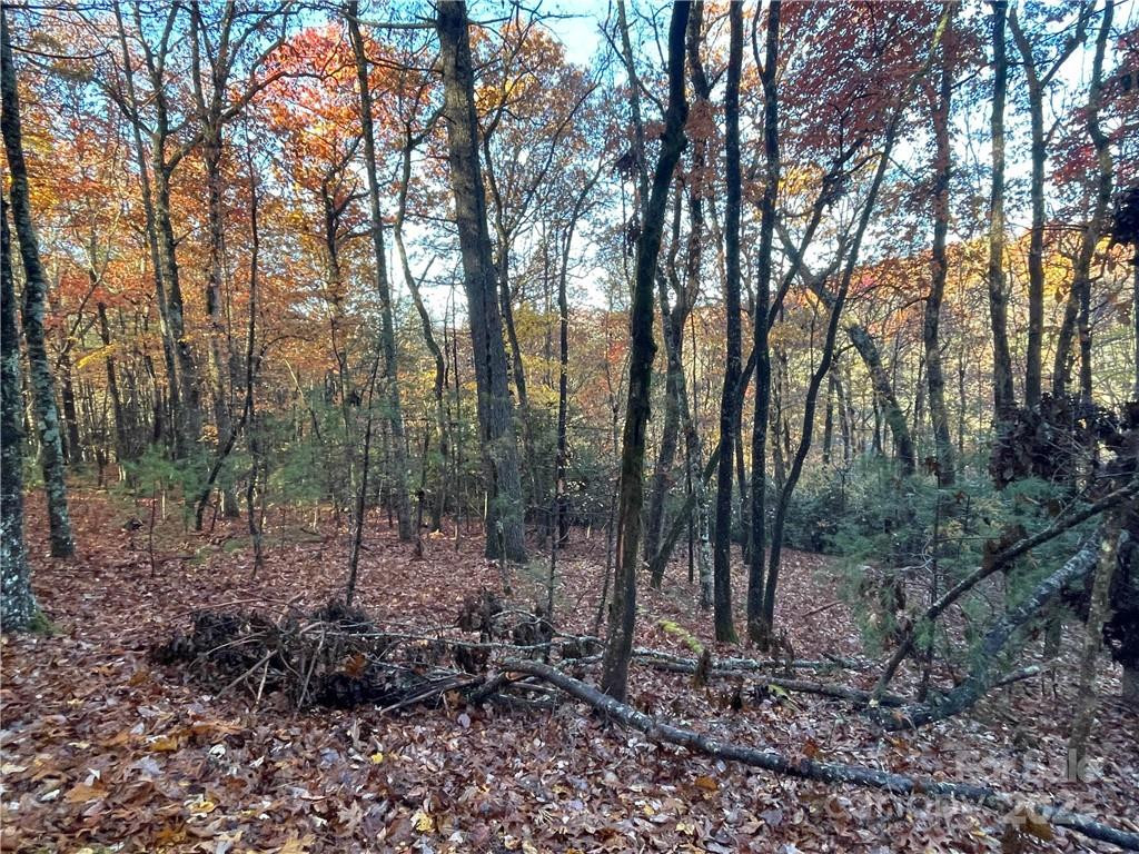 9999 Sassafras Road #4 - Photo 26