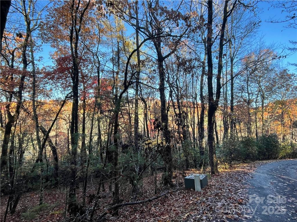 9999 Sassafras Road #4 - Photo 27