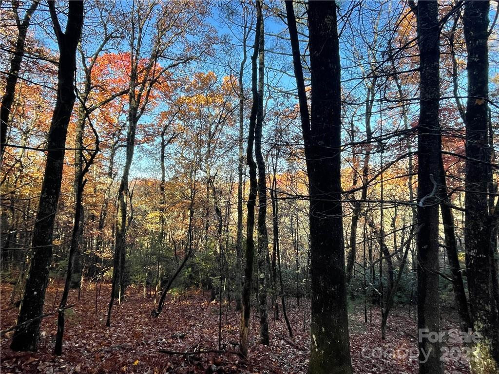 9999 Sassafras Road #4 - Photo 28