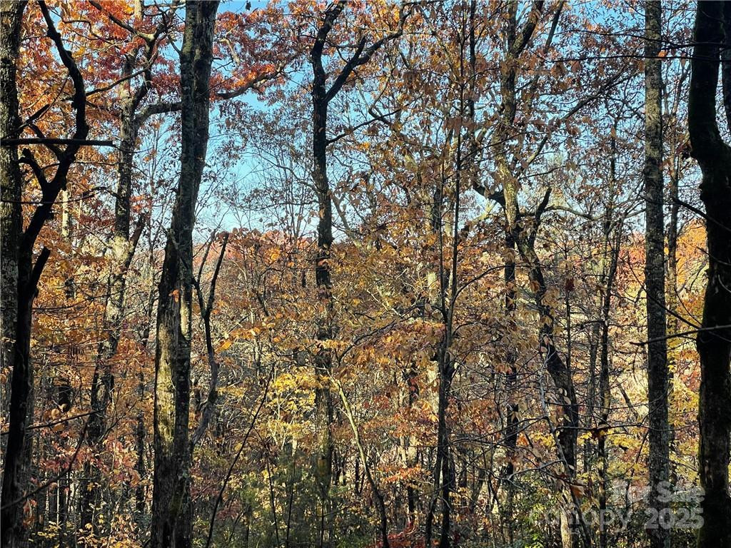 9999 Sassafras Road #4 - Photo 29