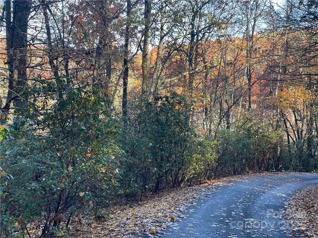 9999 Sassafras Road #4 - Photo 30