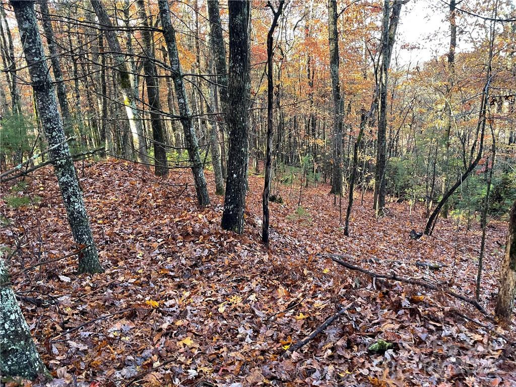 9999 Sassafras Road #4 - Photo 31