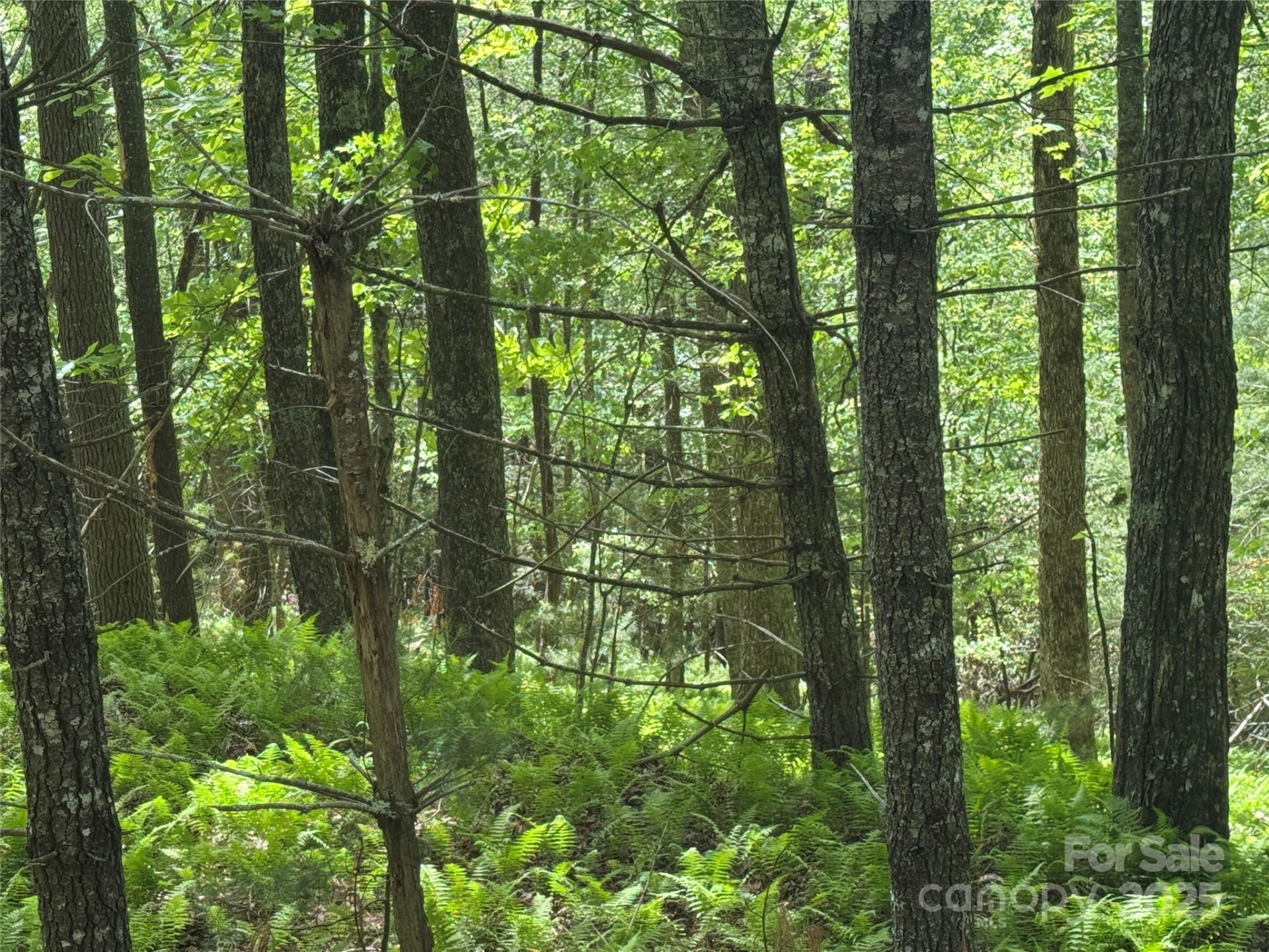 9999 Sassafras Road #4 - Photo 32