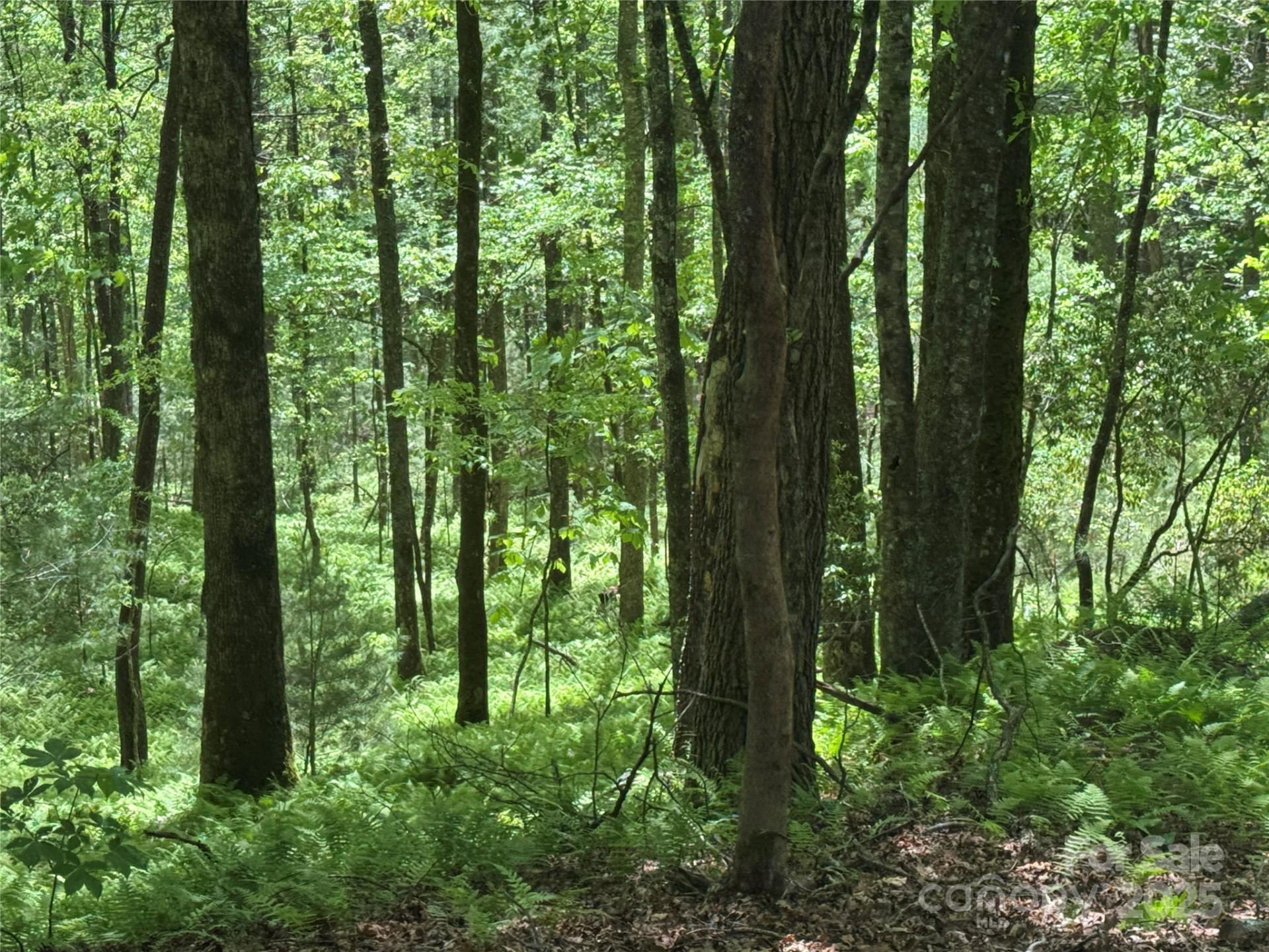 9999 Sassafras Road #4 - Photo 33