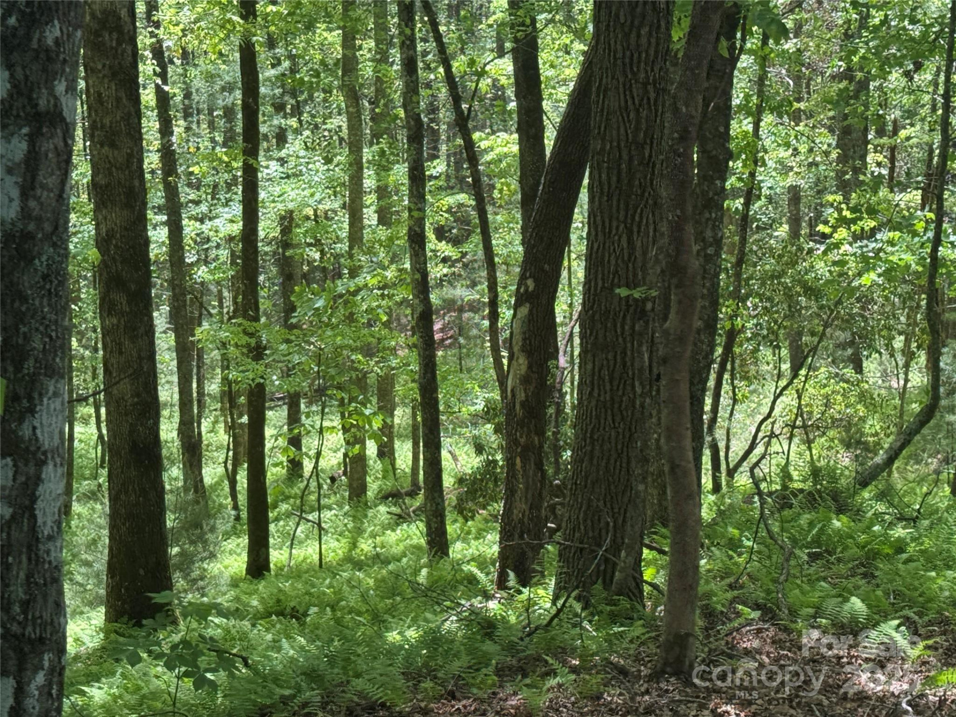 9999 Sassafras Road #4 - Photo 34