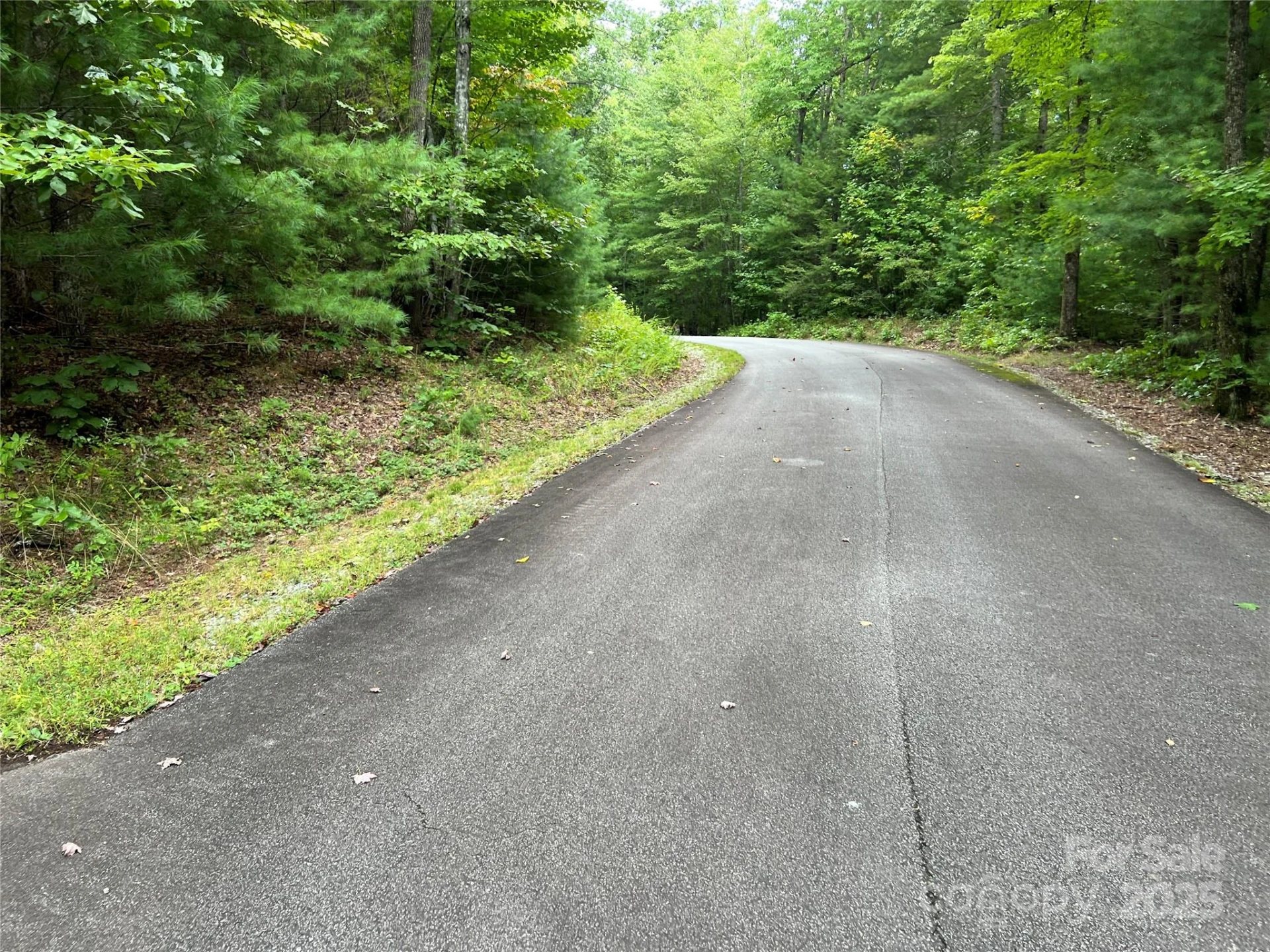 9999 Sassafras Road #4 - Photo 35