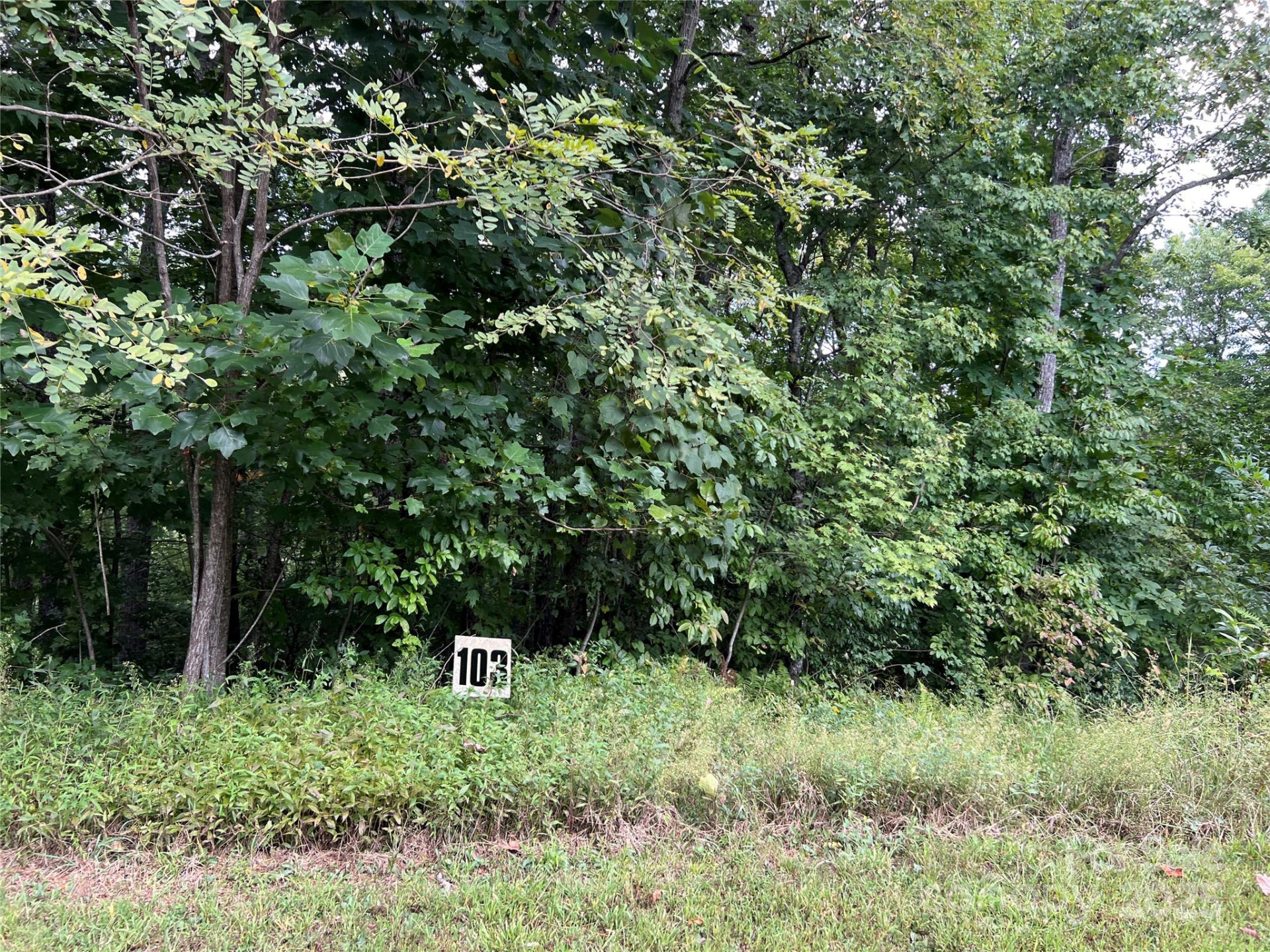 9999 Sassafras Road #4 - Photo 36