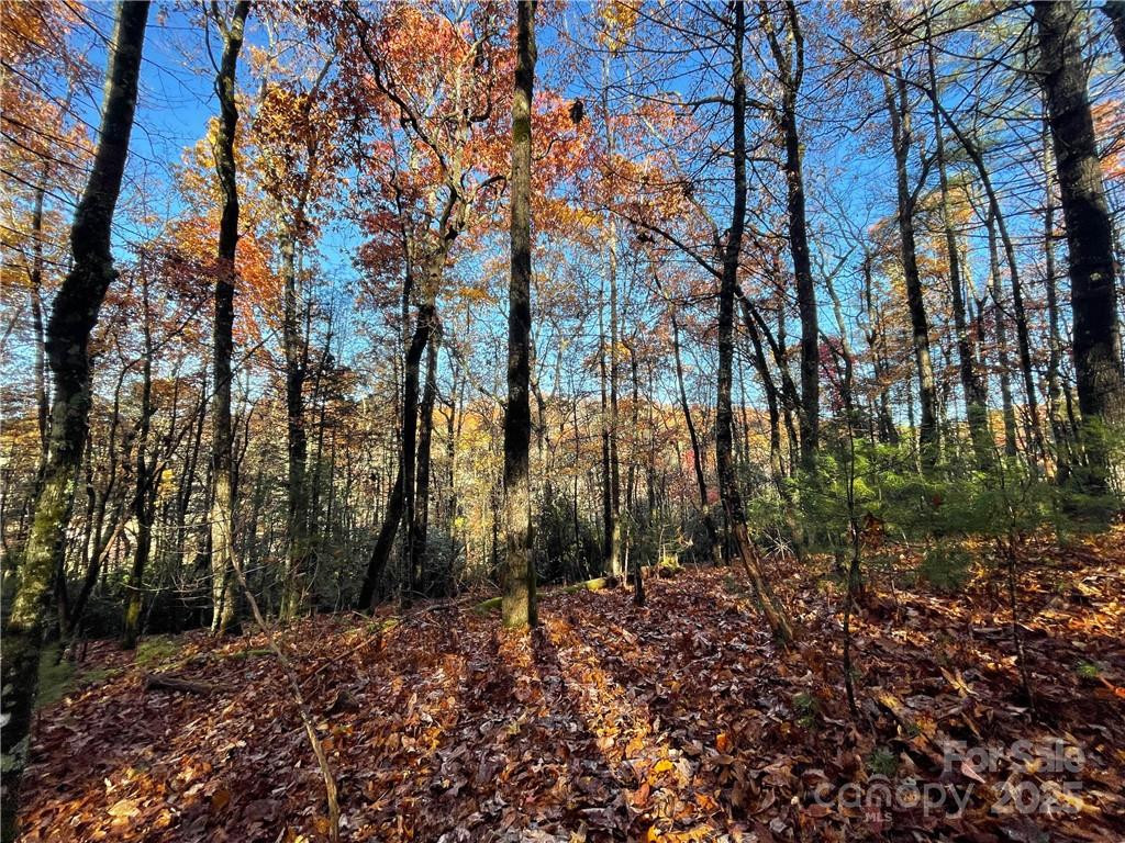 9999 Sassafras Road #4 - Photo 5