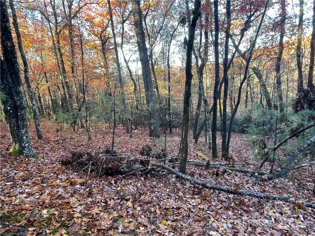 9999 Sassafras Road #4 - Photo 6