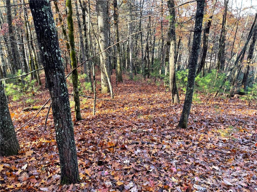 9999 Sassafras Road #4 - Photo 7