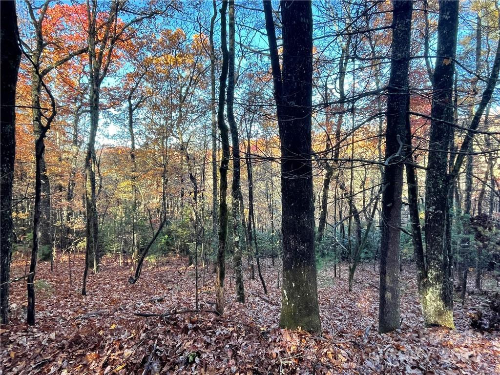 9999 Sassafras Road #4 - Photo 8