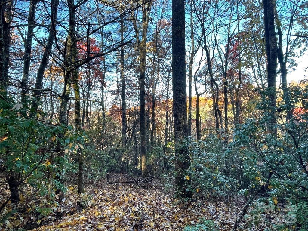 9999 Sassafras Road #4 - Photo 9