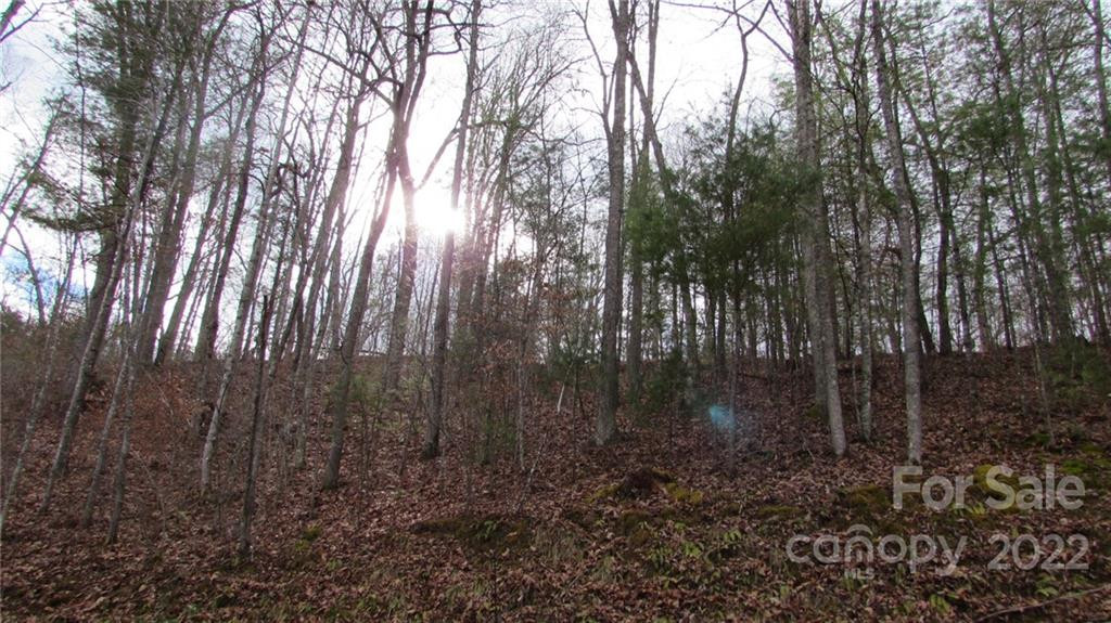 00 High Peak Ridge #7 - Photo 11