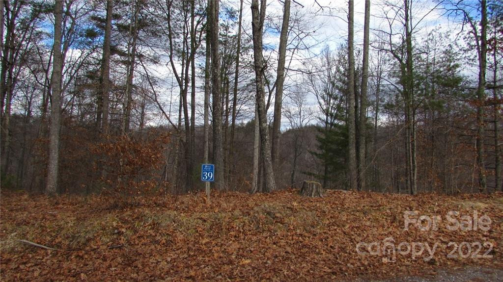 00 High Peak Ridge #7 - Photo 14