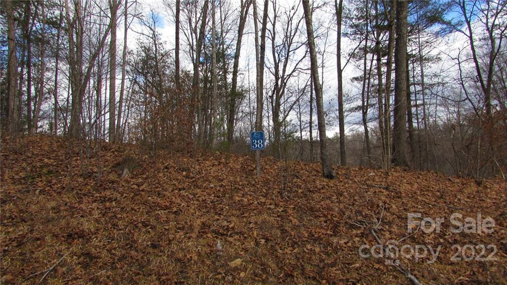 00 High Peak Ridge #7 - Photo 15