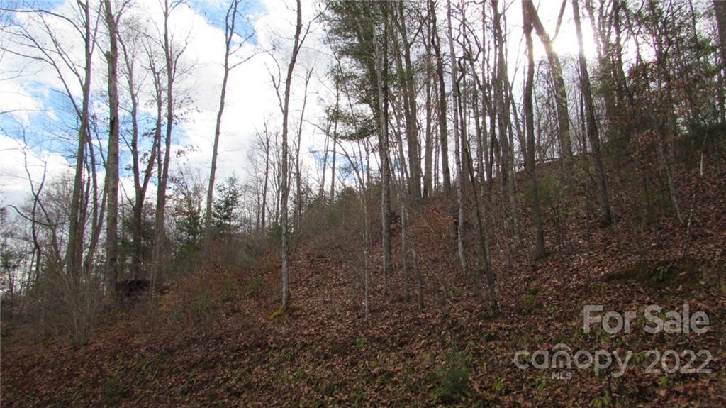 00 High Peak Ridge #7 - Photo 16