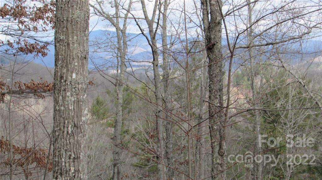 00 High Peak Ridge #7 - Photo 6