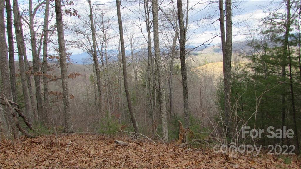 00 High Peak Ridge #7 - Photo 9