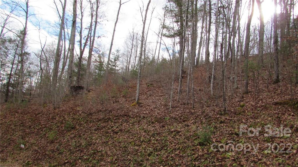 00 High Peak Ridge #7 - Photo 10