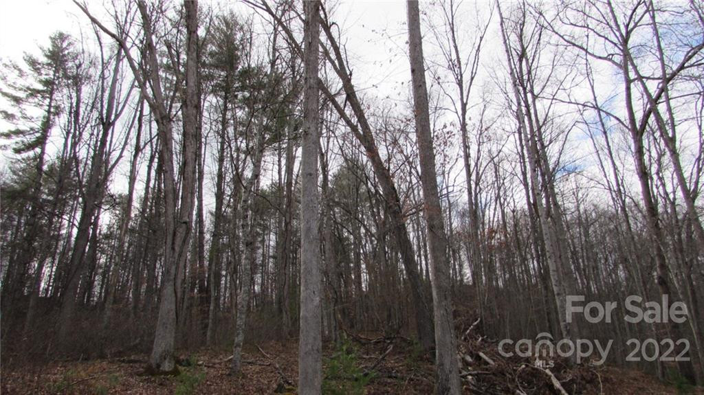 00 Falling Water Drive #15 - Photo 2