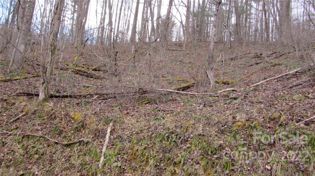 00 Falling Water Drive #15 - Photo 11