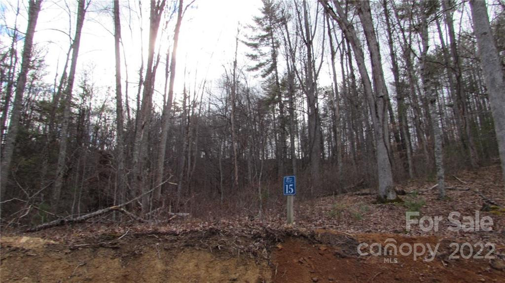 00 Falling Water Drive #15 - Photo 3