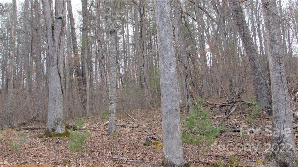 00 Falling Water Drive #15 - Photo 5