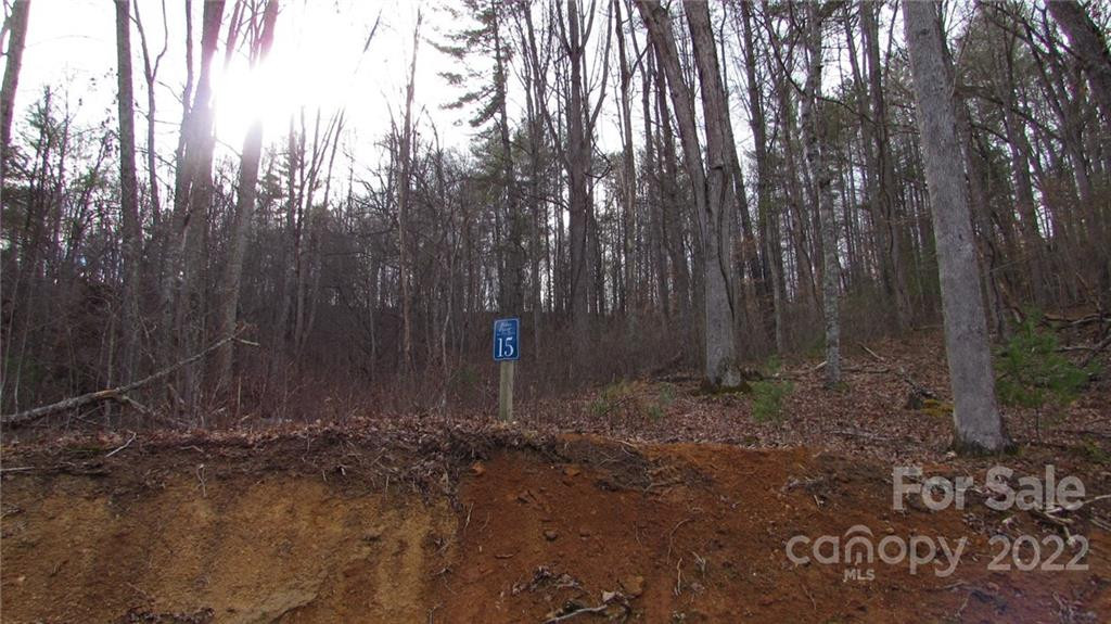 00 Falling Water Drive #15 - Photo 6