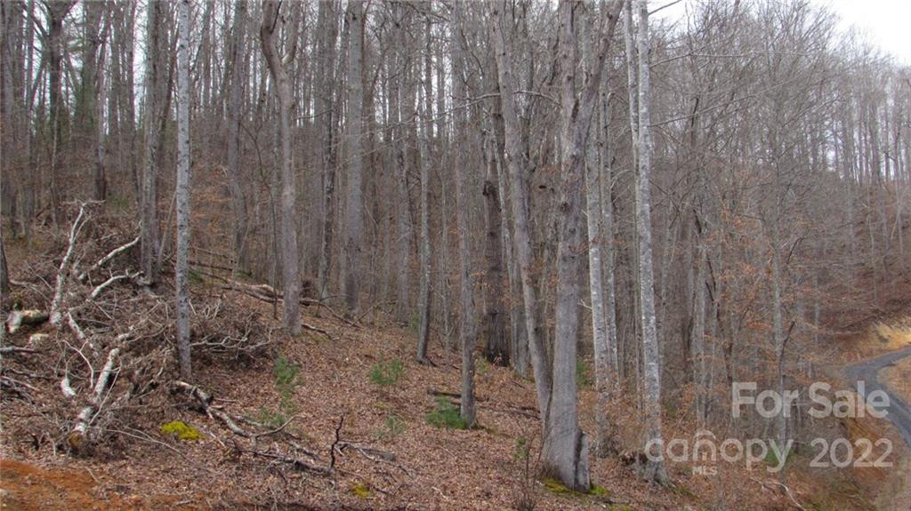 00 Falling Water Drive #15 - Photo 7