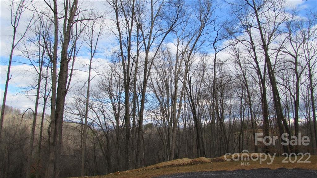 00 Falling Water Drive #15 - Photo 9