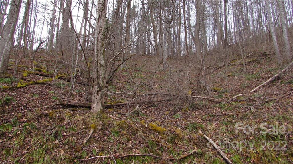 00 Falling Water Drive #15 - Photo 10