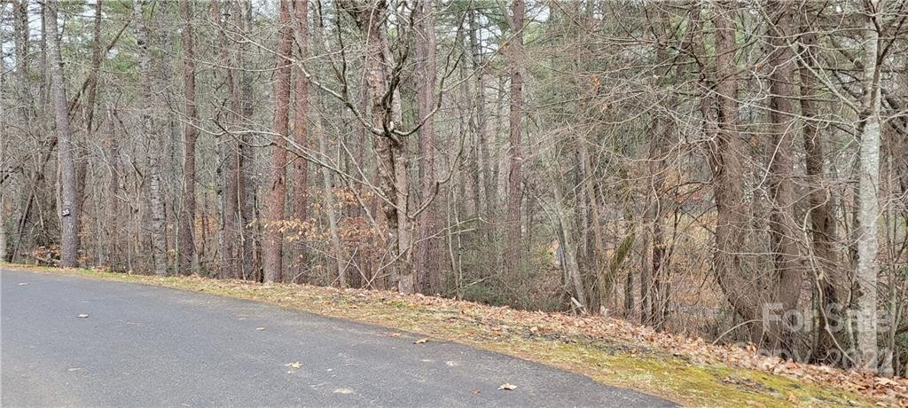 35 Settlers Trail #35 - Photo 2