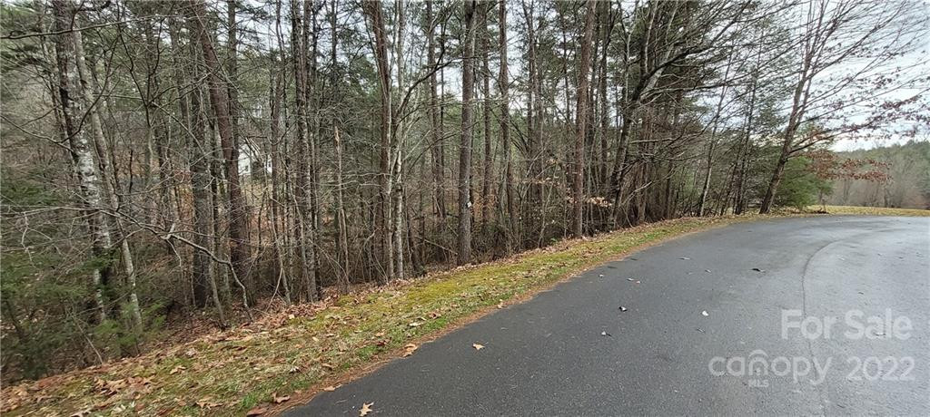 35 Settlers Trail #35 - Photo 3