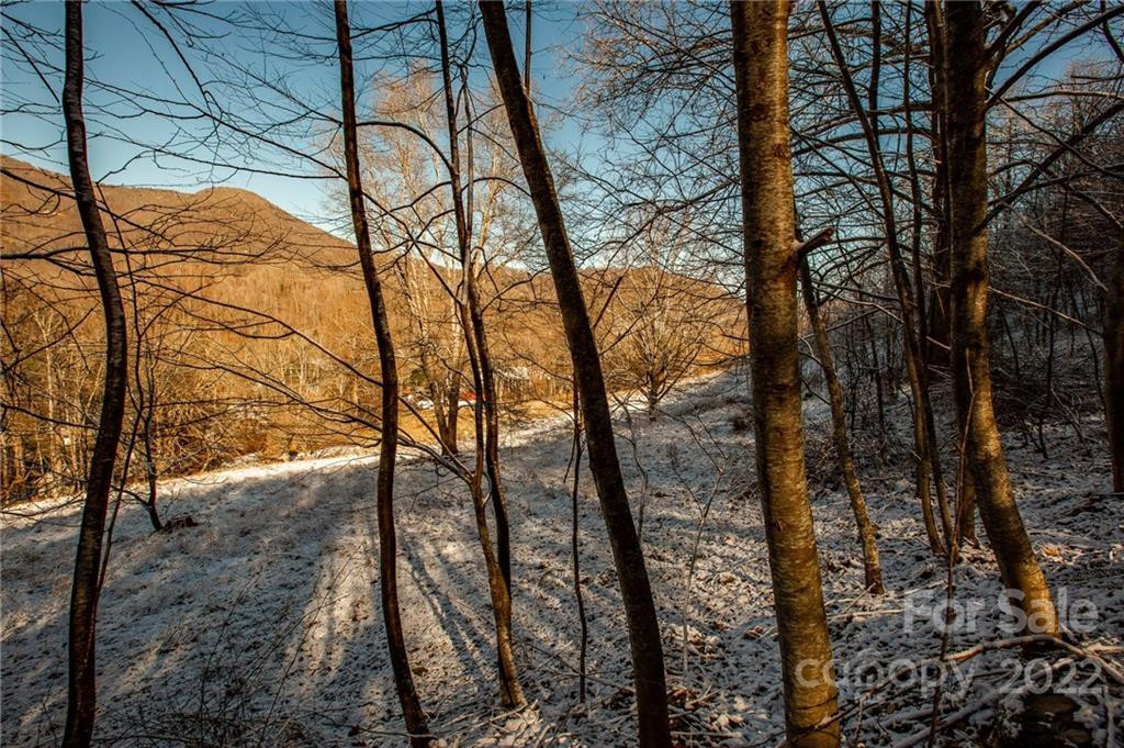 00000 Soco Road #7 - Photo 2