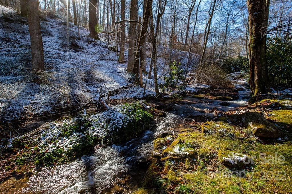 00000 Soco Road #7 - Photo 11