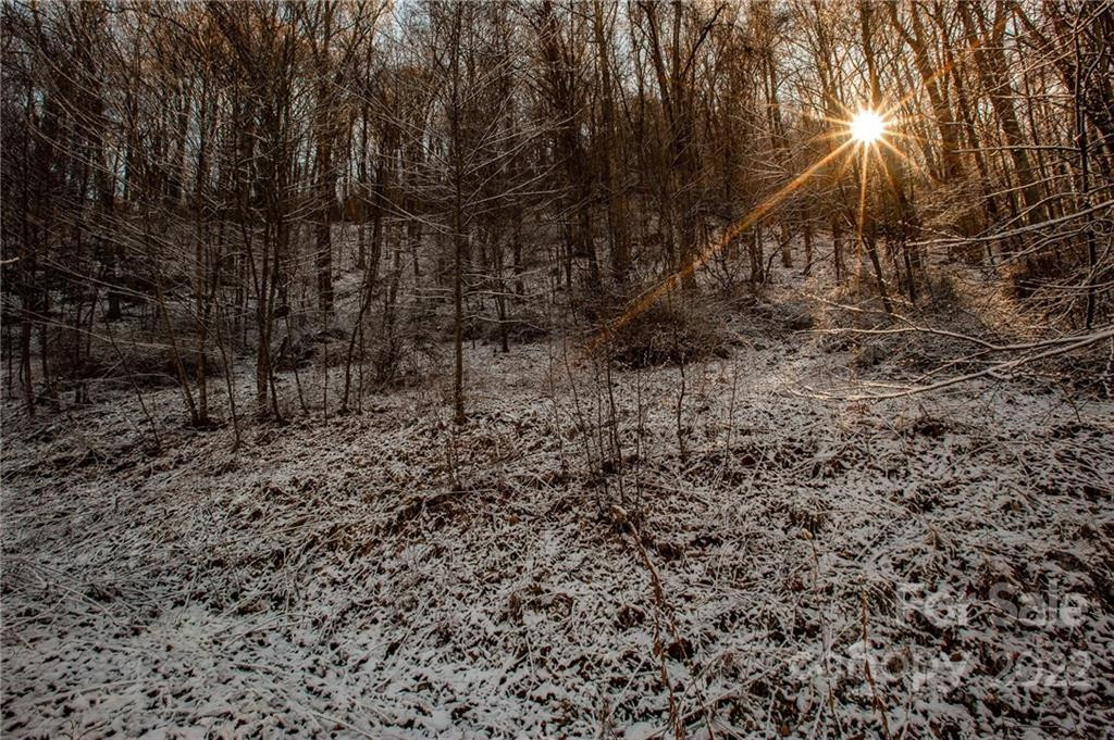 00000 Soco Road #7 - Photo 19