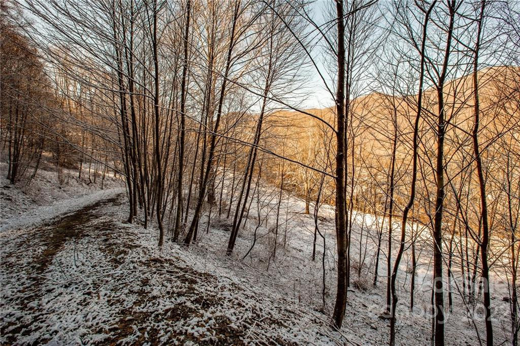 00000 Soco Road #7 - Photo 21