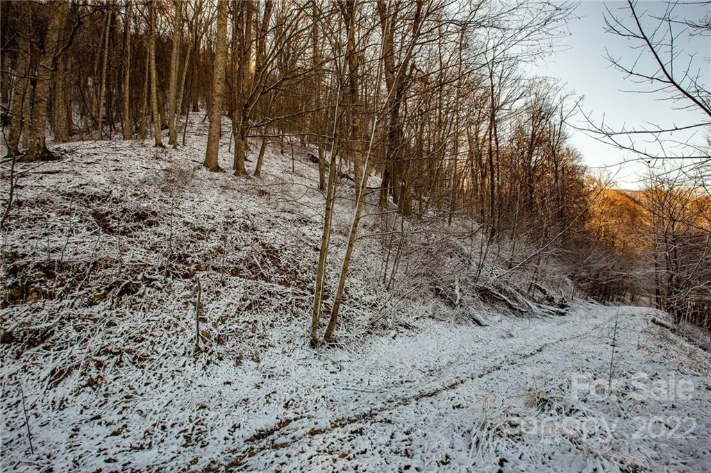 00000 Soco Road #7 - Photo 22