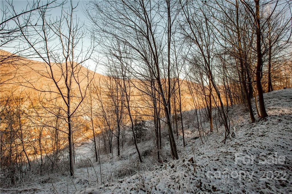 00000 Soco Road #7 - Photo 23