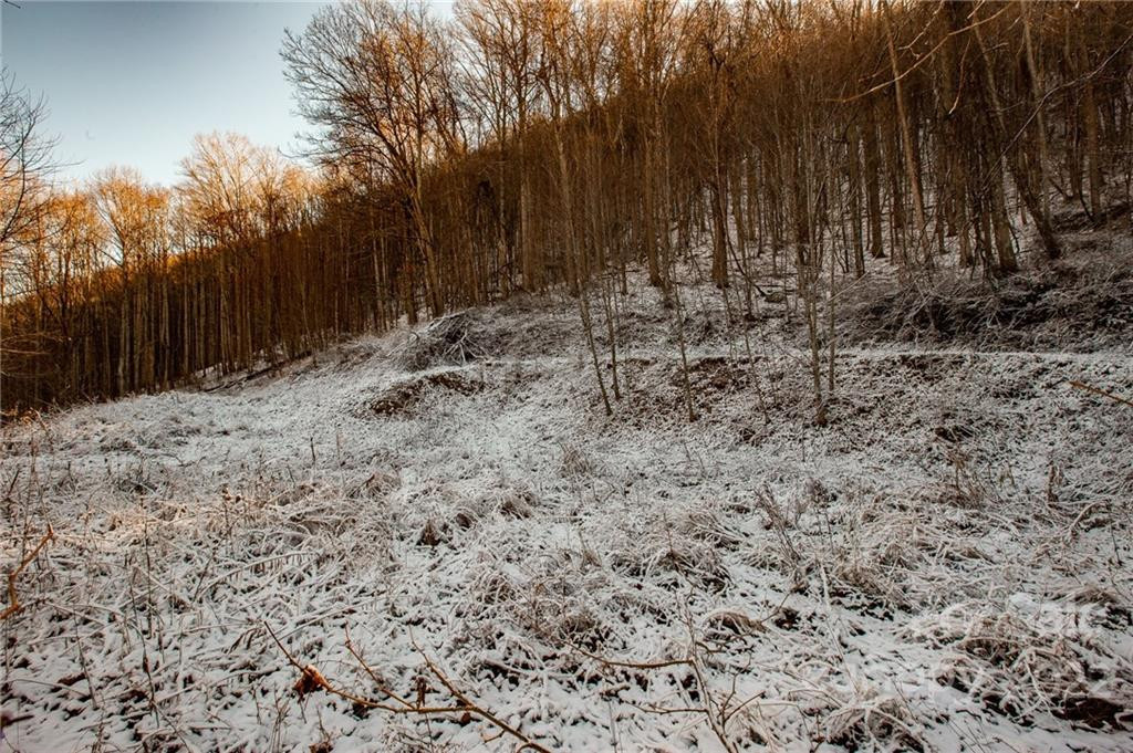 00000 Soco Road #7 - Photo 24