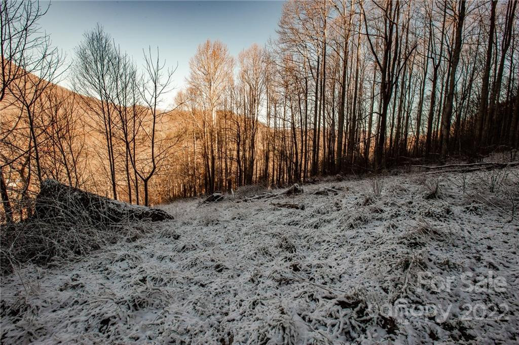 00000 Soco Road #7 - Photo 27