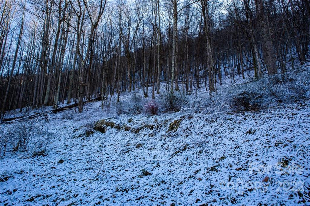 00000 Soco Road #7 - Photo 28