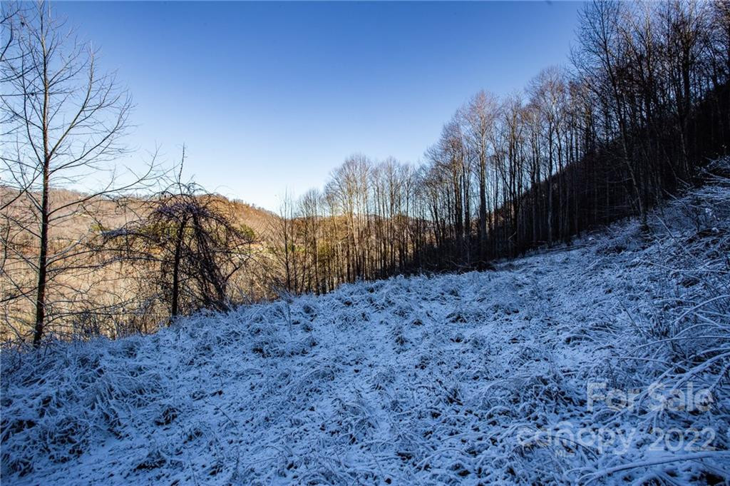 00000 Soco Road #7 - Photo 29