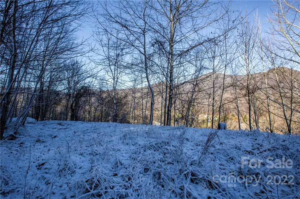 00000 Soco Road #7 - Photo 30