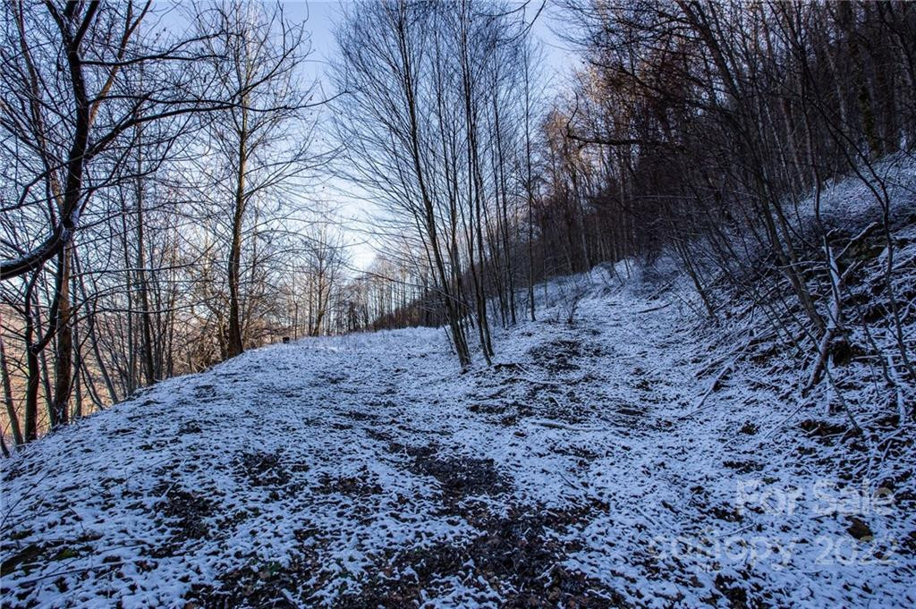 00000 Soco Road #7 - Photo 31