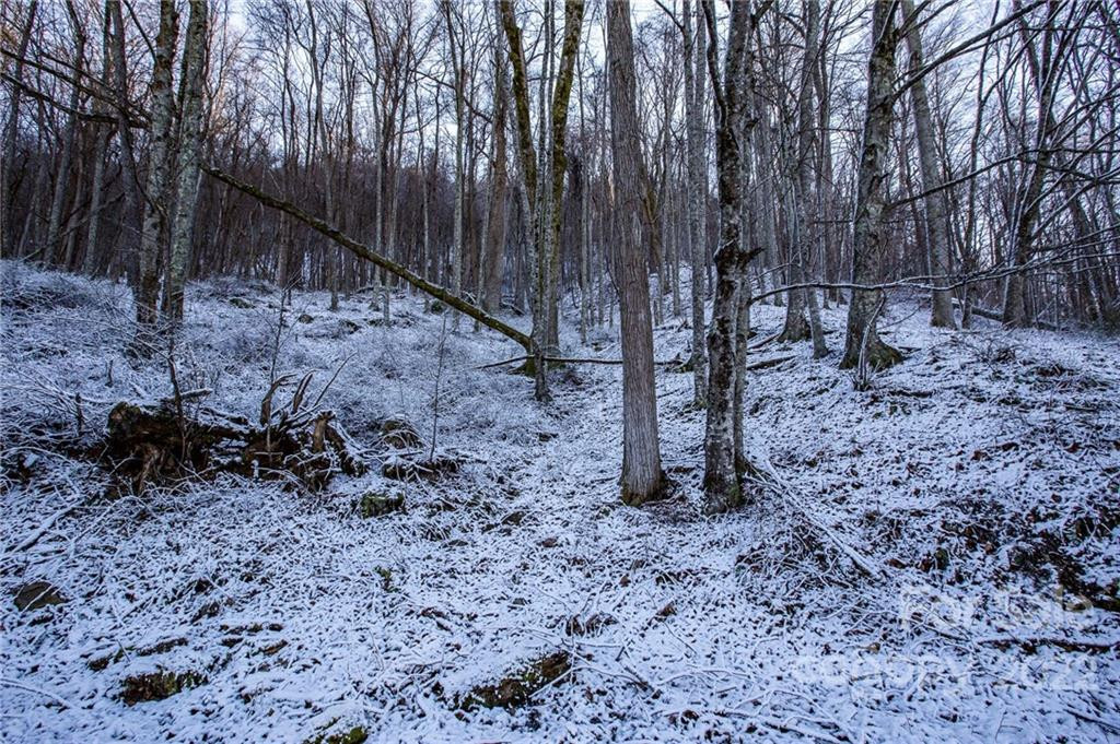 00000 Soco Road #7 - Photo 33