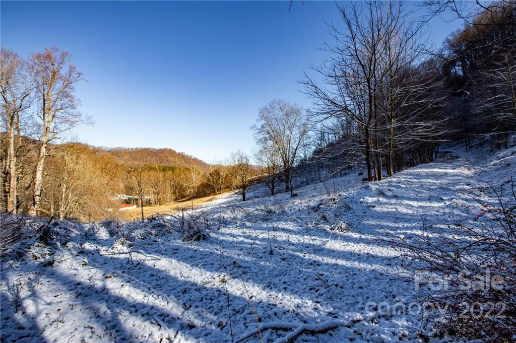 00000 Soco Road #7 - Photo 35