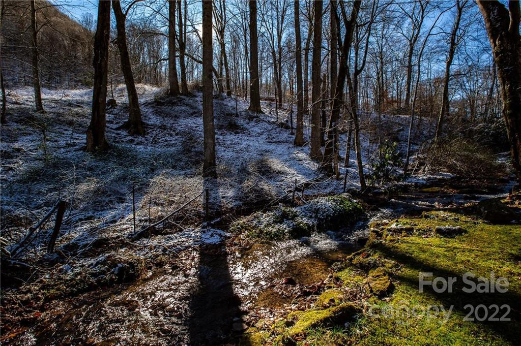 00000 Soco Road #7 - Photo 5